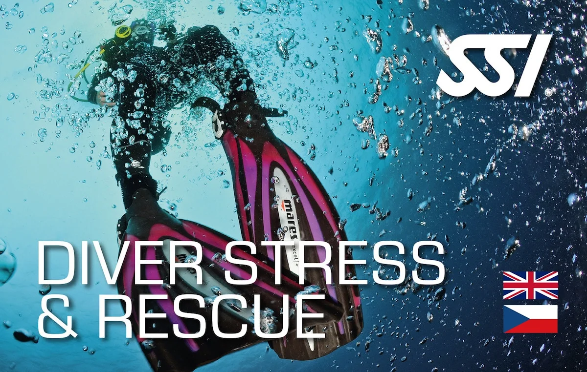 Diver Stress & Rescue Card