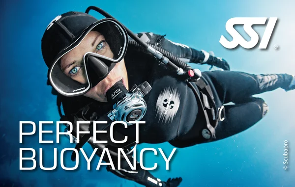 Perfect Buoyancy card