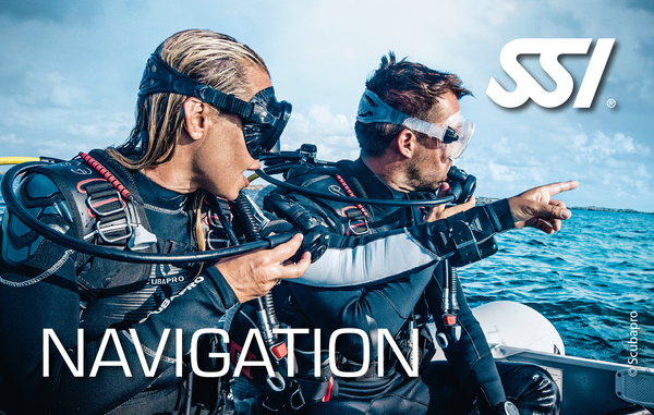 Navigation card