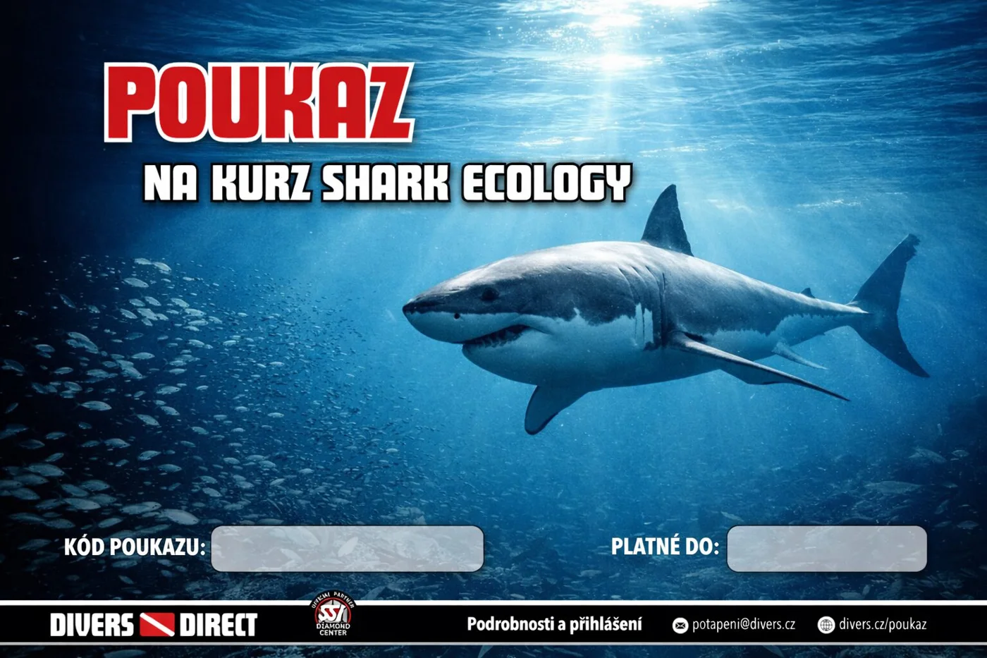 SSI Shark Ecology gift voucher