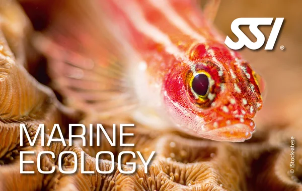 Produktová karta SSI Marine Ecology