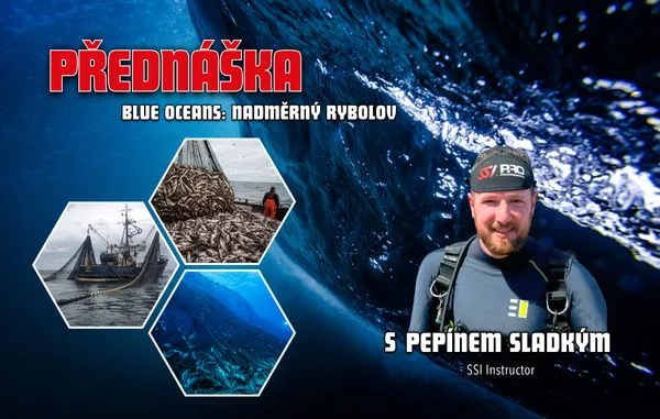 Original poster for the Overfishing lecture