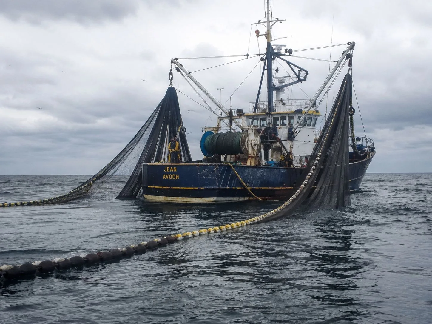 fishing blue ocens