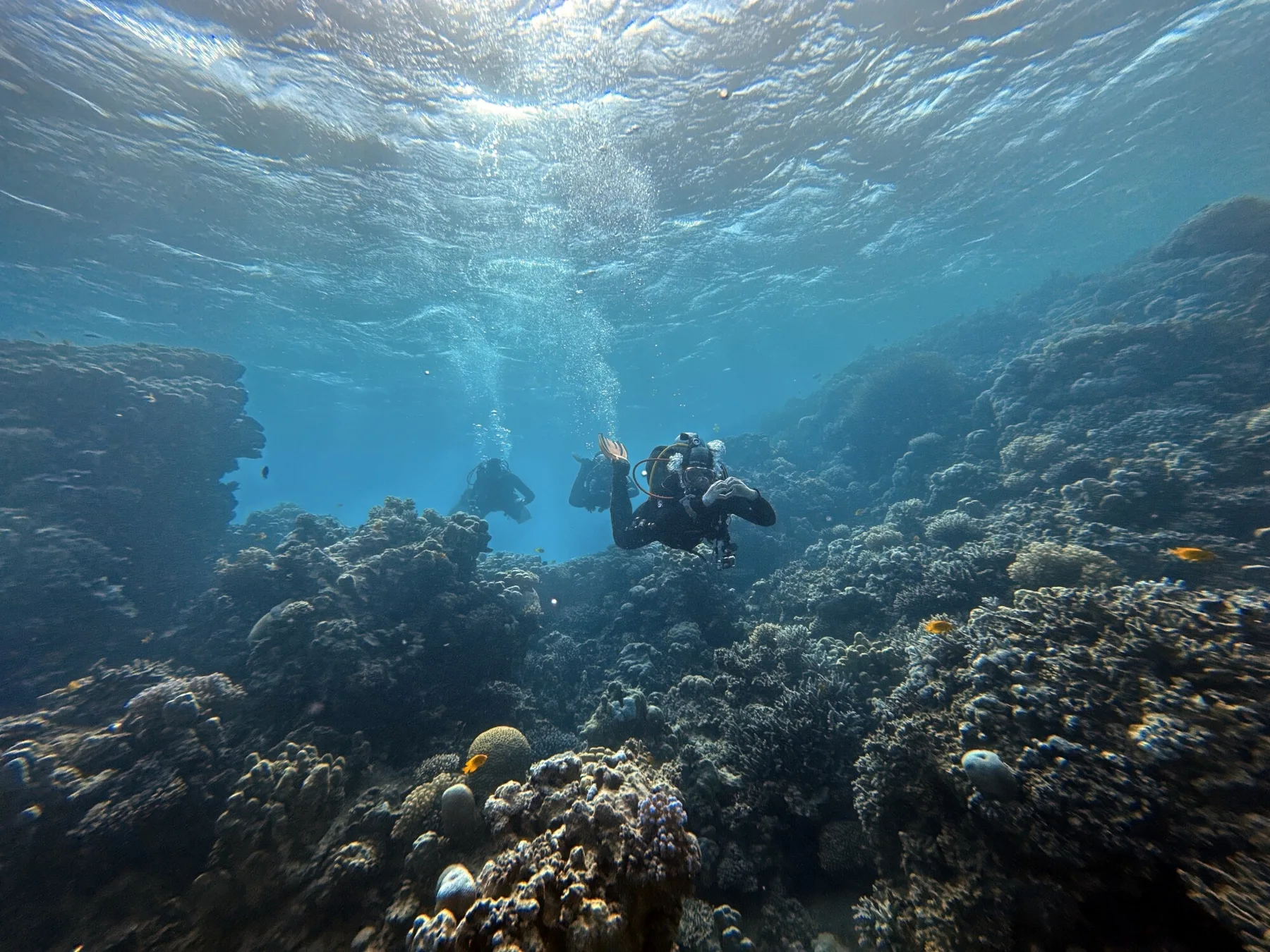 Dahab