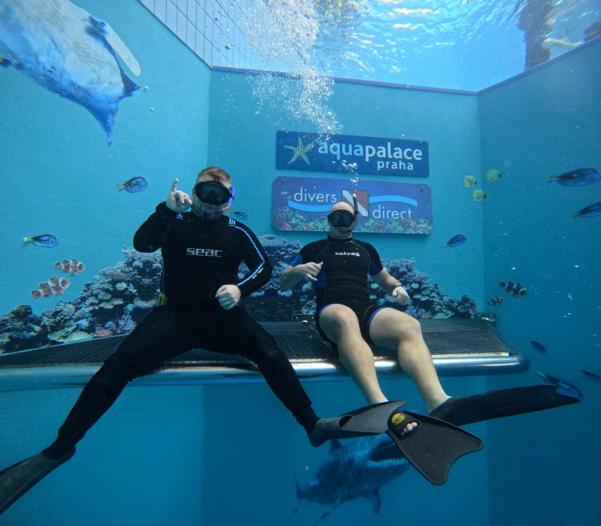 Freediving with Divers Direct