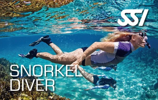 Snorkelling course card