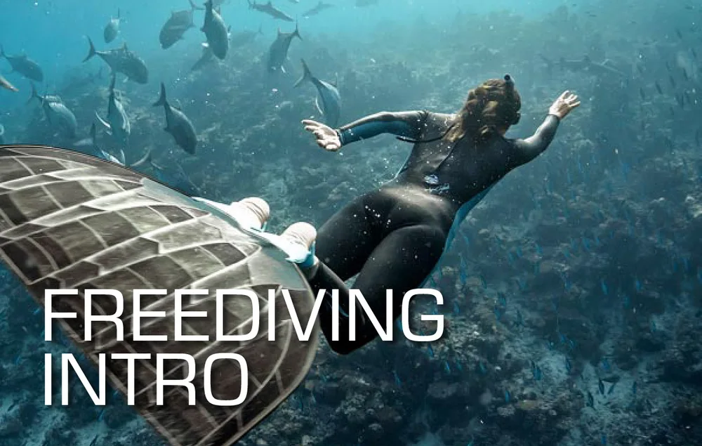 Try Freediving card
