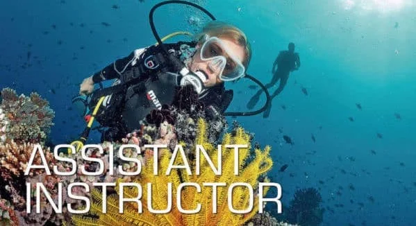 Assistant Instructor card