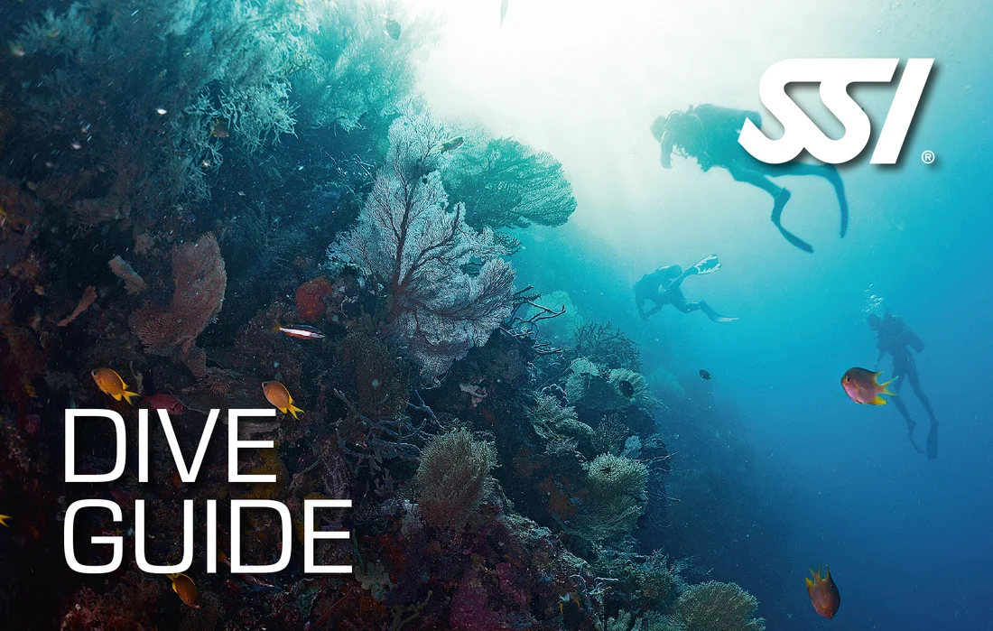 Dive Guide / Divemaster card