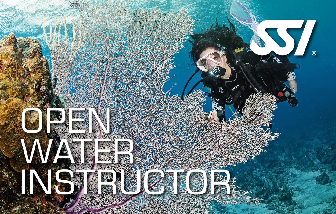 Open Water Instructor / ITC card