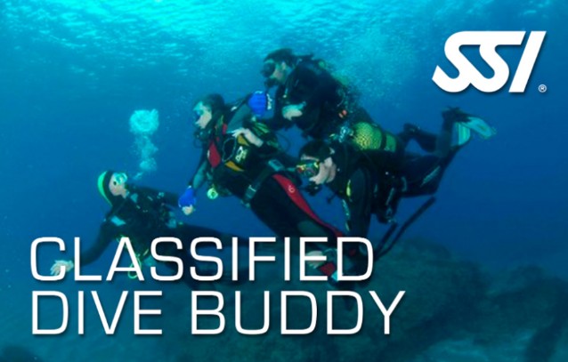 Classified Dive Buddy card