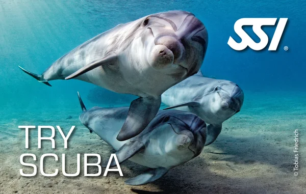 Try Scuba Classified card