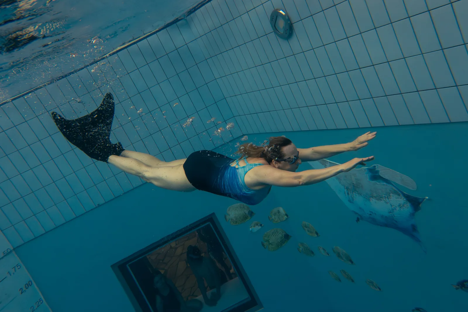 Training Fitness swimming with a monofin