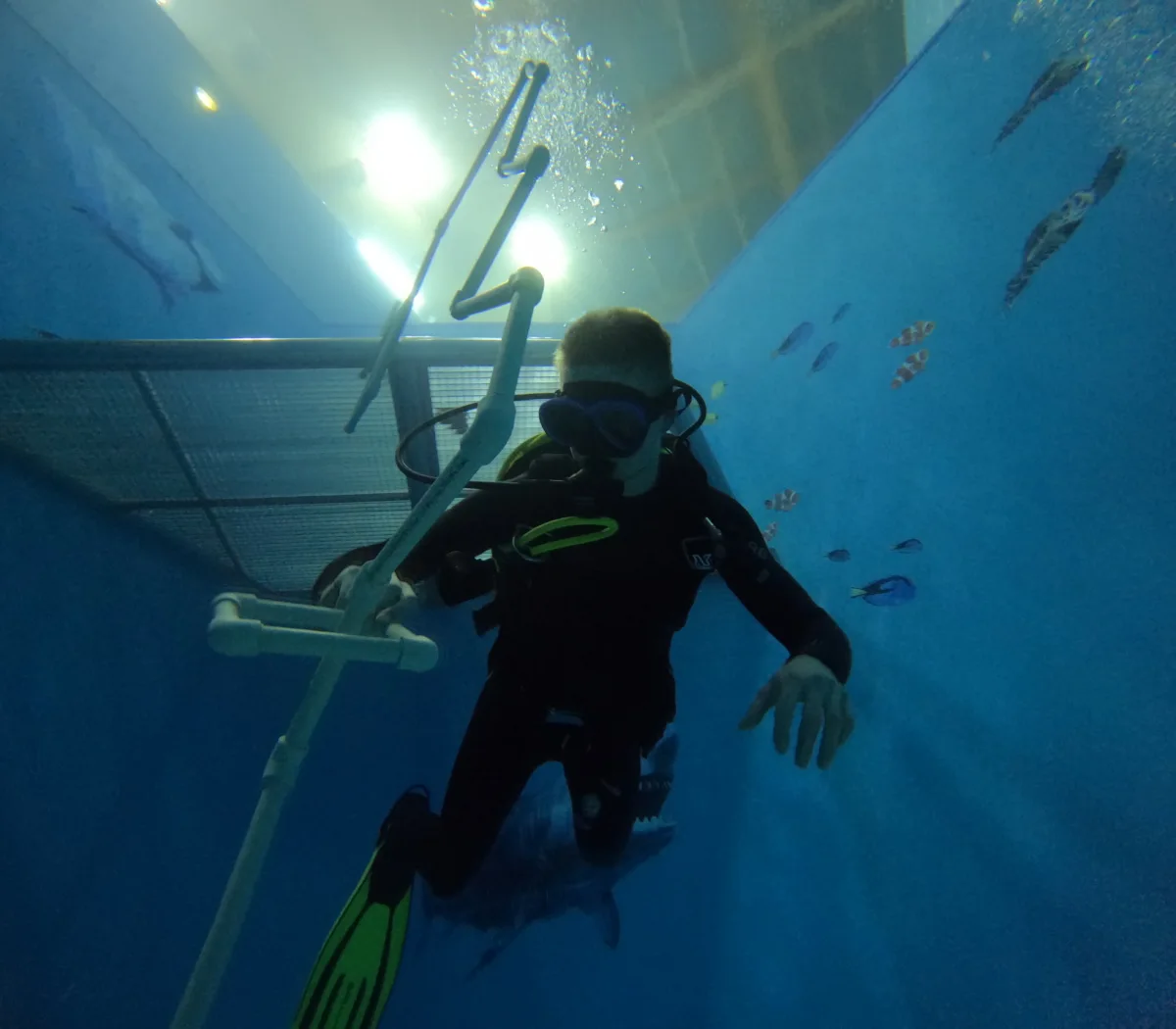Scuba diving training sessions card