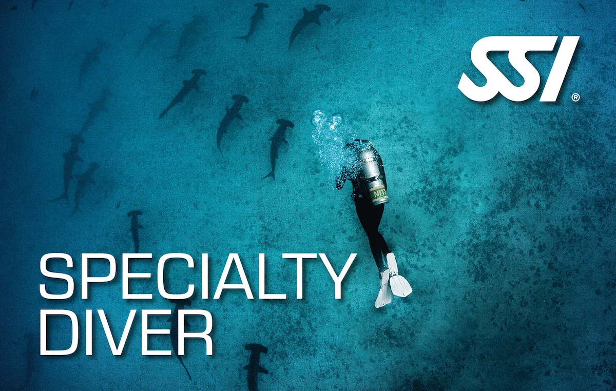 Speciality Diver · Deep + Night