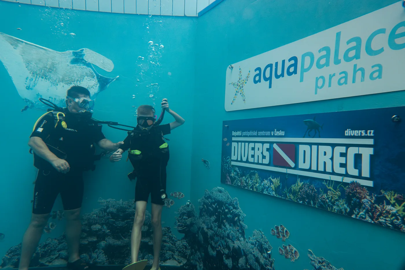 Dvojice potápěčů u stěny s nápisy Aquapalace Praha a Divers Direct