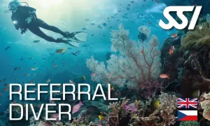 Referral Diver