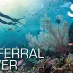 Referral Diver