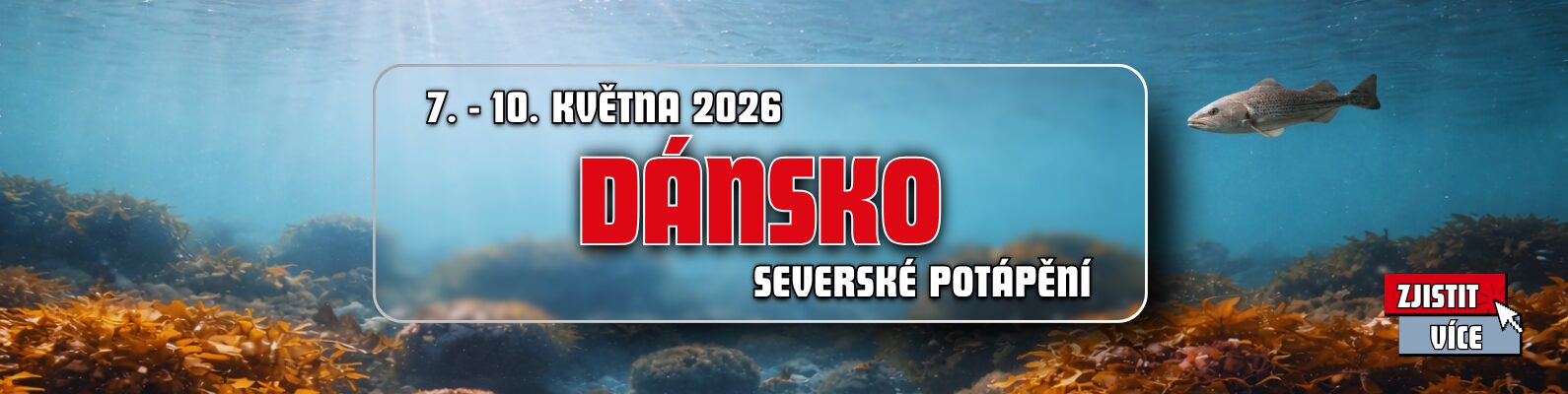 Dánsko 2026 Potápěčský výlet do Dánska – severské vody a podmořská příroda, 7.–10. května 2026